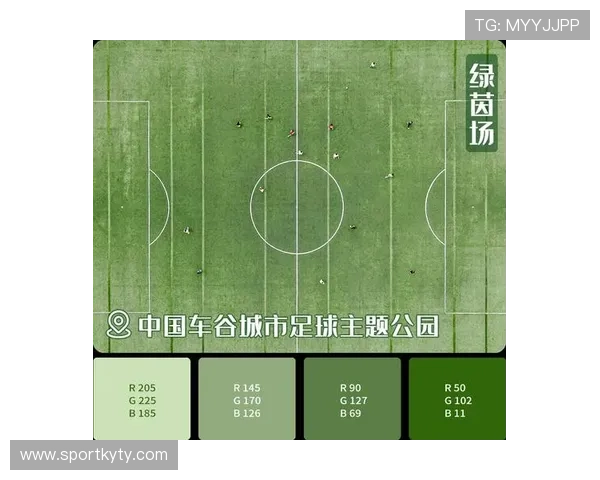 开云完美体育电脑版官网官方最新消息与活动优惠，第一时间掌握体育界热点资讯