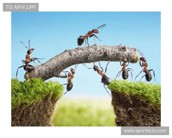 开运集团的企业文化与核心价值观，打造具有凝聚力的团队合作模式